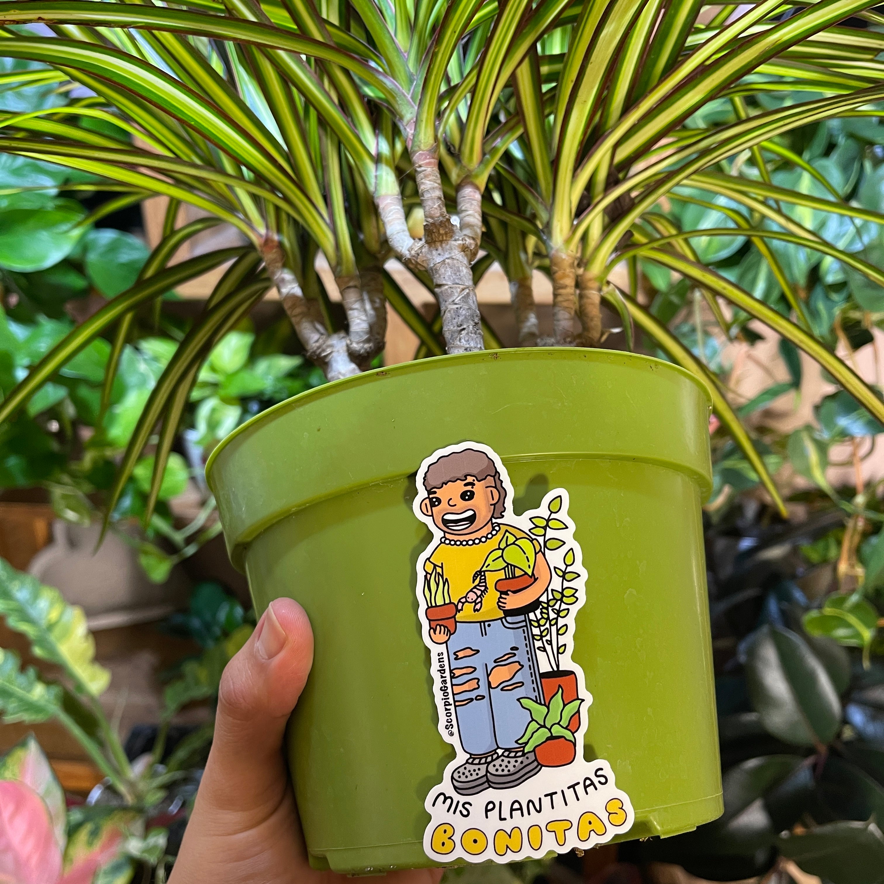 Mis Plantas Bonitas Sticker Scorpio Gardens